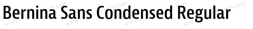 Bernina Sans Condensed Regular字体转换